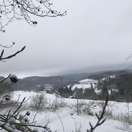 Bergchalet La Roubine Willingen Neerdar Exterior foto