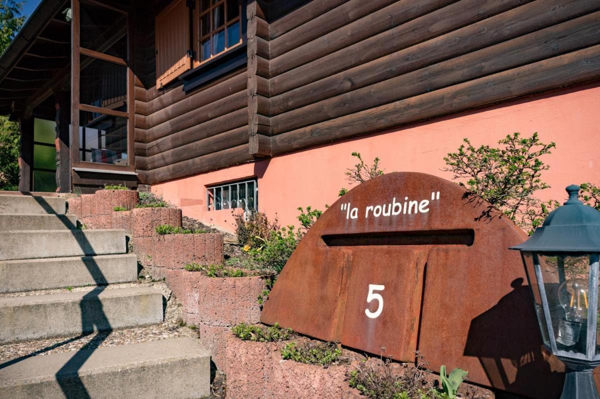 Bergchalet La Roubine Willingen Neerdar Exterior foto