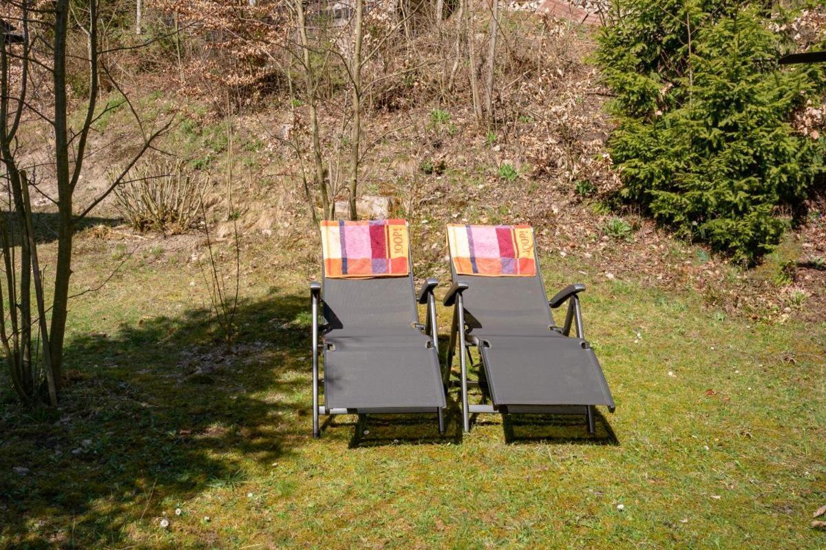 Bergchalet La Roubine Willingen Neerdar Exterior foto