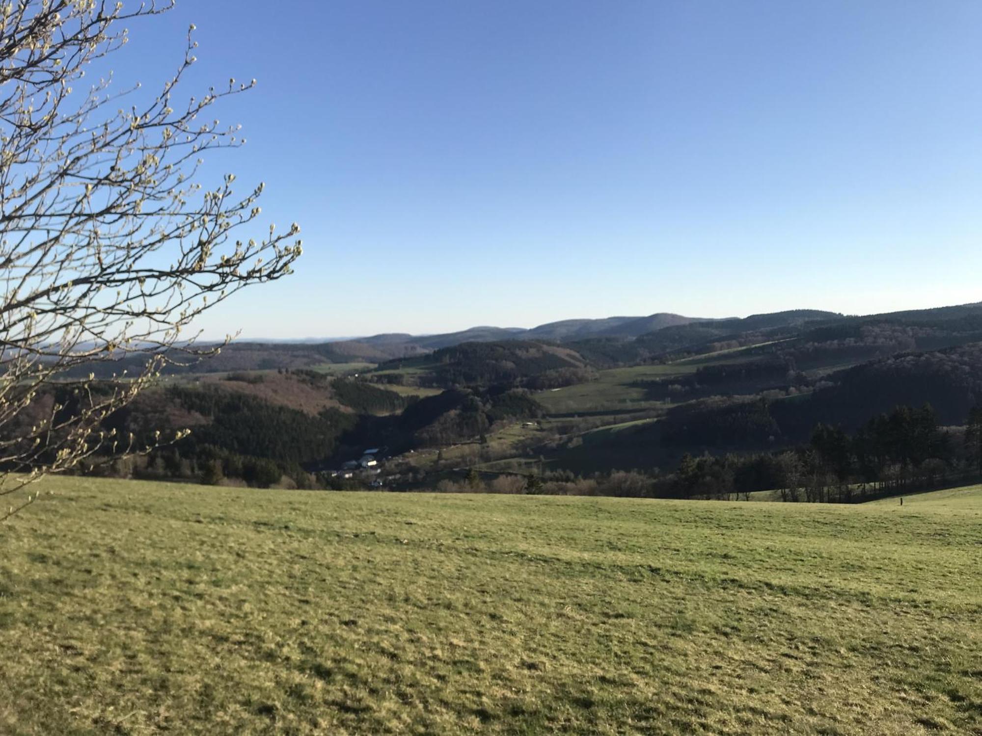 Bergchalet La Roubine Willingen Neerdar Exterior foto